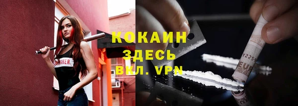прущий лед Бородино