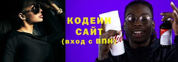 прущий лед Бородино