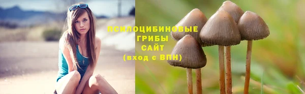 mdpv Бронницы