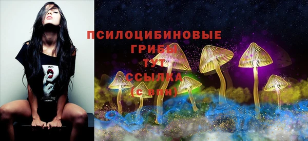 mdpv Бронницы
