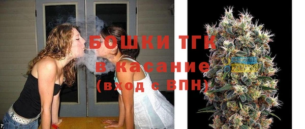 прущий лед Бородино