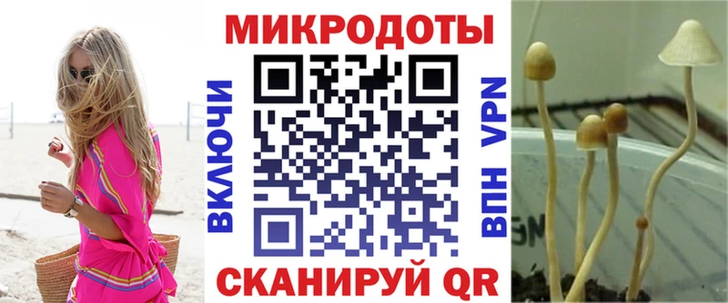 Псилоцибиновые грибы мицелий  Киров 