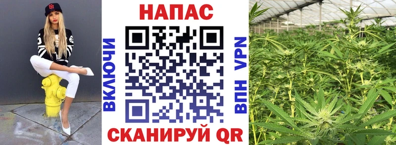 Каннабис гибрид  hydra вход  Киров 